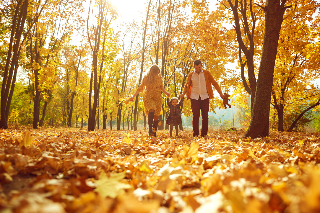 Parents with the Daughter Play in Park in the Fall